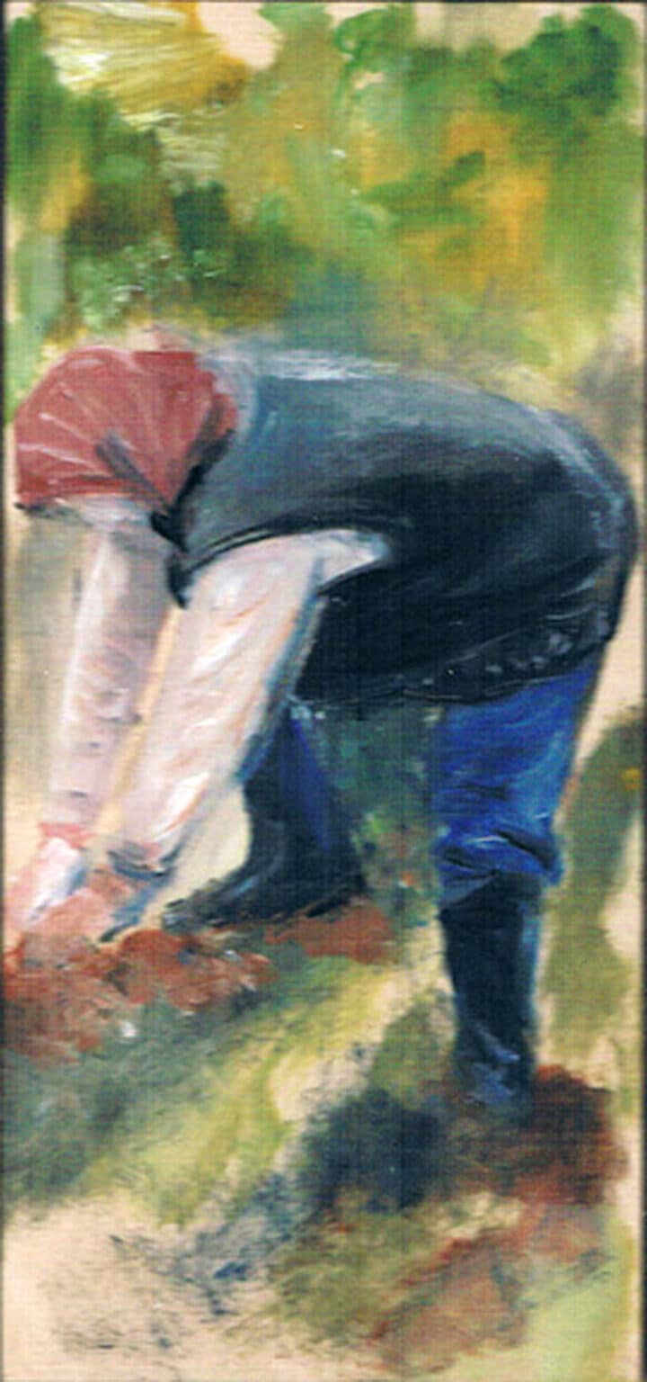 feldforschung12